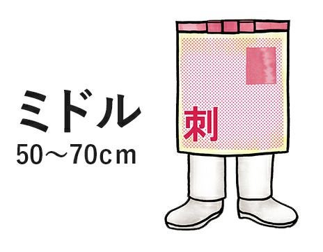 ミドルエプロン