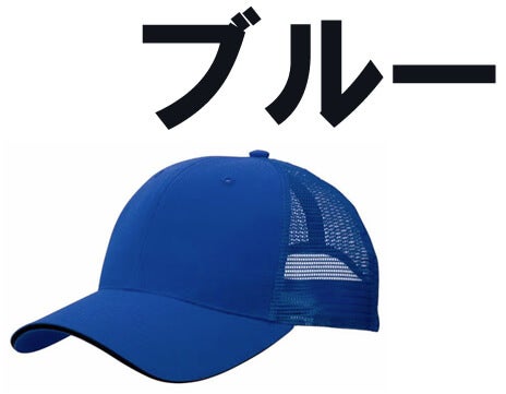 ブルー(青色)キャップ