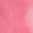 ベタ