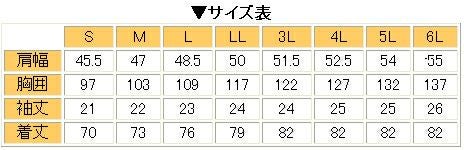 サイズ表
