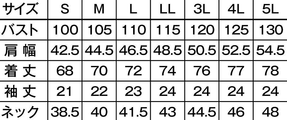 サイズ表