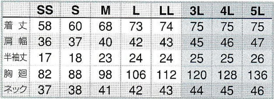 サイズ表