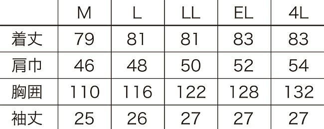 サイズ表