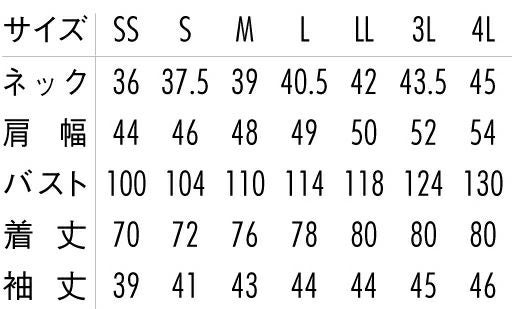 サイズ表