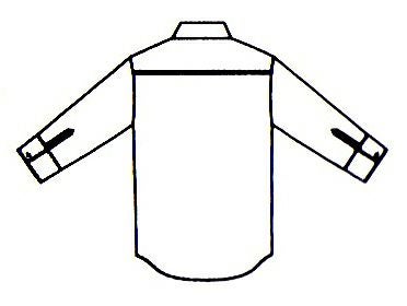 背中のイラスト