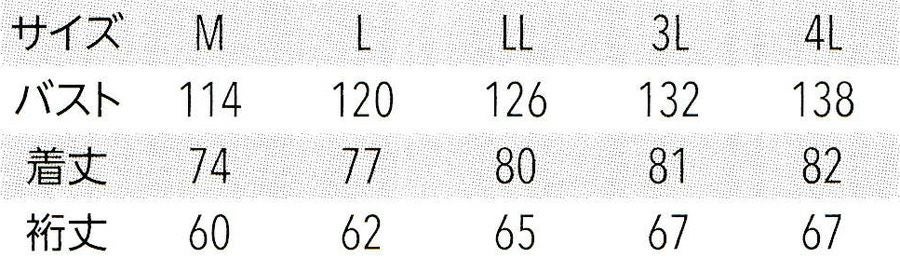 サイズ表