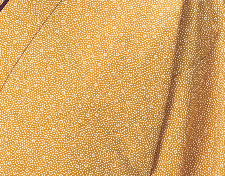 からし色：和柄アップ写真