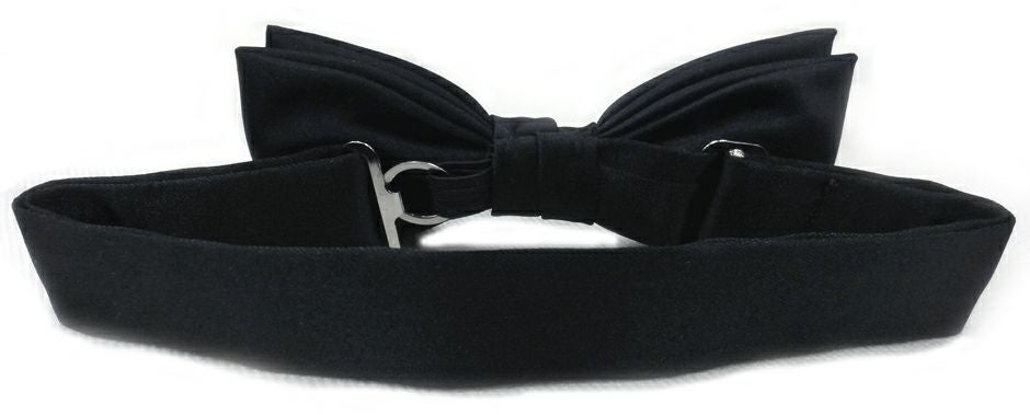 後ろからの画像