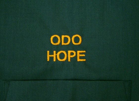 アップで撮影してみました。