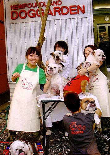 はい。もういっちょ撮影でっせー