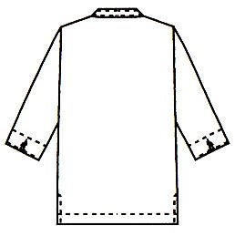 背中のイラスト