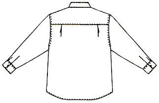 背中のイラスト画像です。