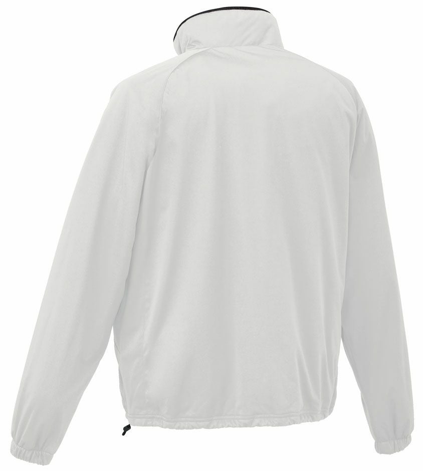 シルバーのバック画像