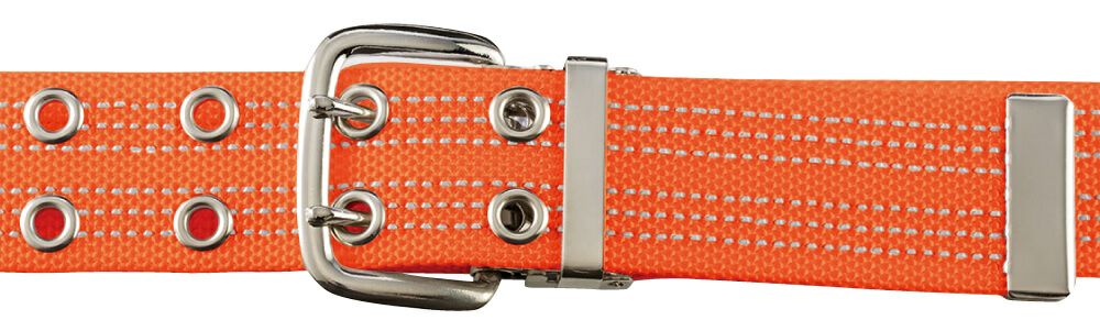 オレンジアップ画像