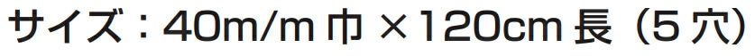 サイズ表