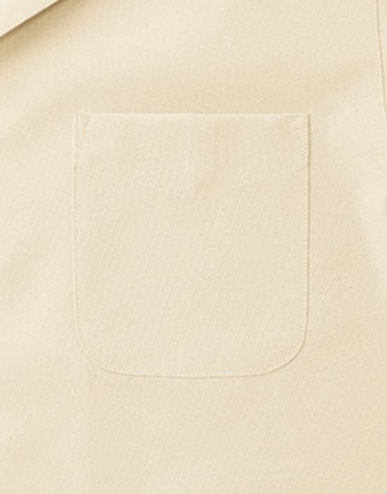 胸ポケットアリ