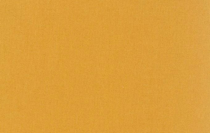 生地拡大：イエロー