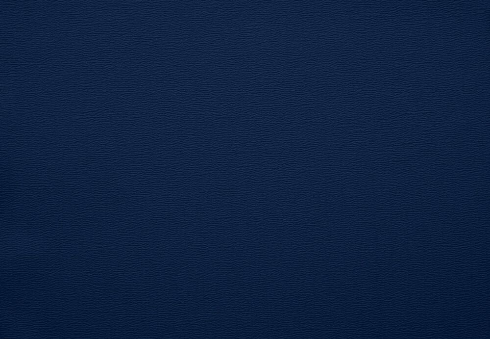 ちりめん（制電）：紺