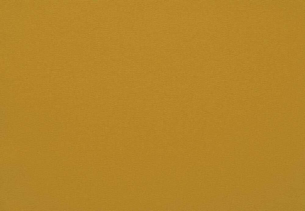 ちりめん（制電）：カラシ