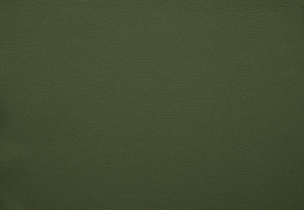 ちりめん（制電）：ウグイス